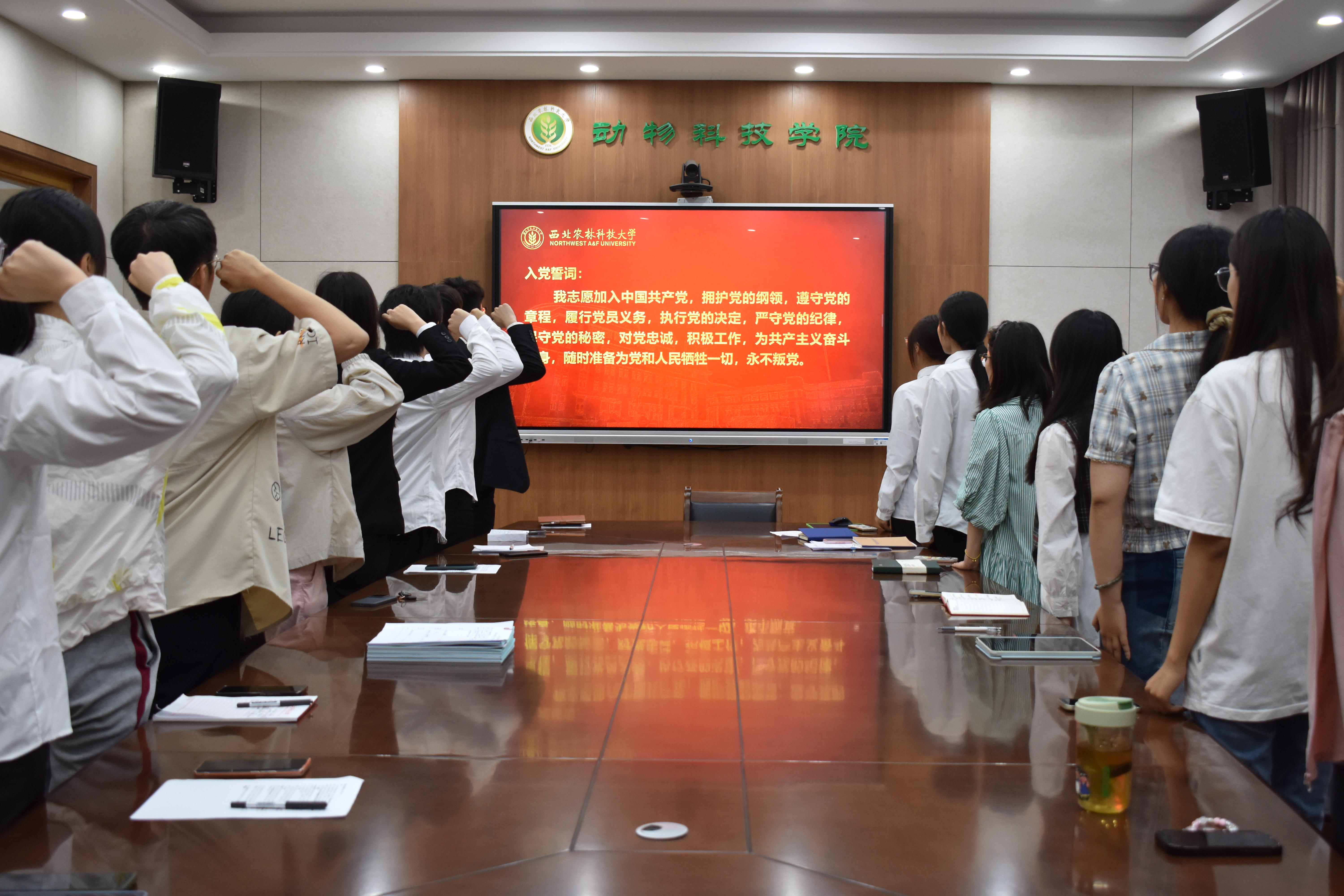 3.党支部全体党员重温入党誓词.JPG