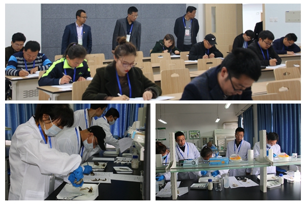 4bbf7469d47e400faca017dc83029737.jpg NeoImage_副本.jpg