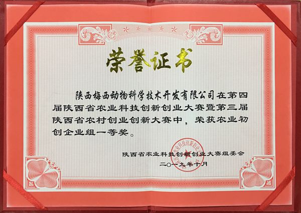 89cdbafef43e4b74a0e312d8b9ed7643.jpg 获奖证书_副本.jpg