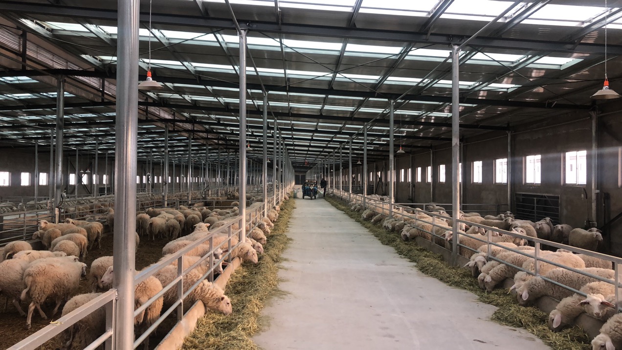 4bc75a8de9ee4bca9b797391b8cb8f29.jpg 4bc75a8de9ee4bca9b797391b8cb8f29.jpg