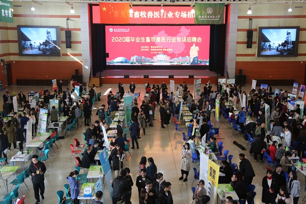 83d6b2b5423f4e87bf4851cd5d7bc923.jpg 招聘会现场.JPG