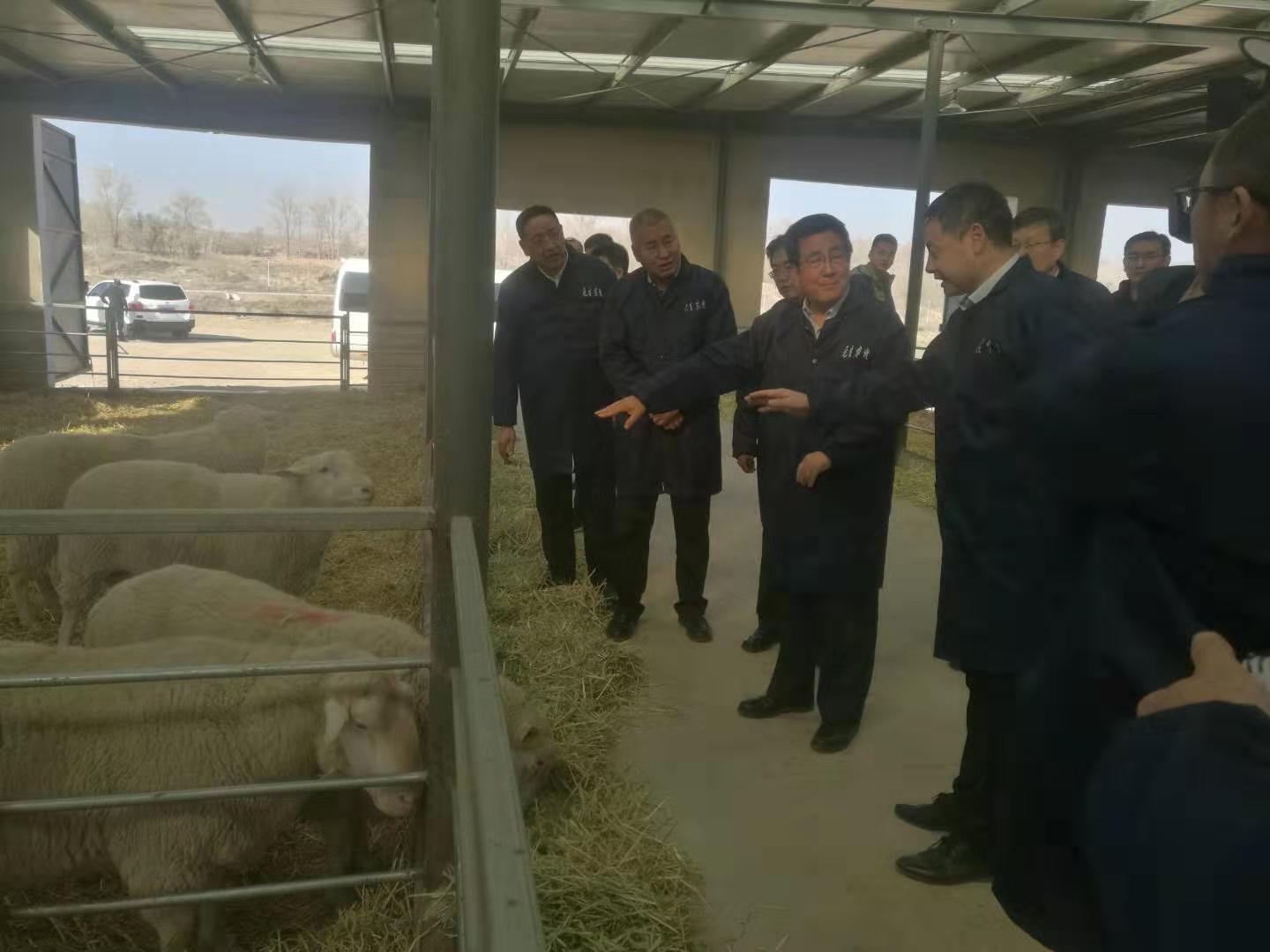 d364429115a0409391e3afb0bba04ce5.jpg d364429115a0409391e3afb0bba04ce5.jpg