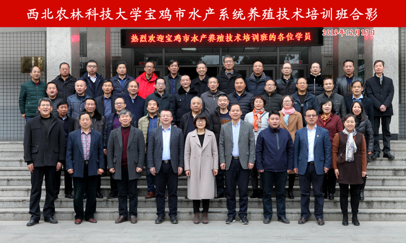 2f6f3317a55d45ce8616be3bc9b328f3.jpg 6.jpg