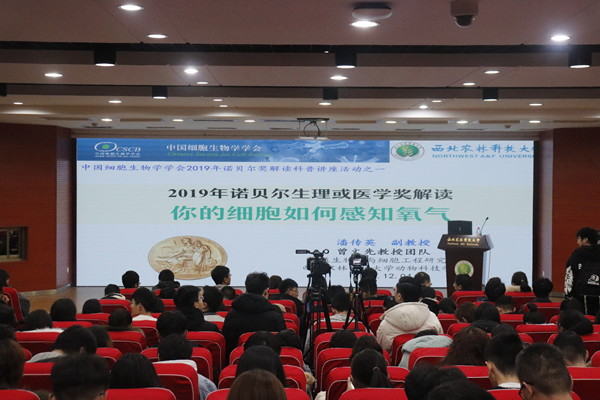 46df246e48cd4a8b9e9b249e07a1e5f9.jpg _MG_6801_副本.jpg