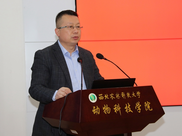 6f28802c0e2f42e49c555616ed432ee9.jpg 2.jpg