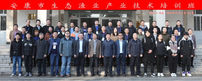 78730f3542ce40ff9e98d2861b46deb2.jpg 111111.jpg