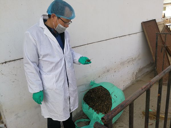 8840758b61584ca2a980c931fe697208.jpg 胡建宏教授查看杂交构树发酵情况_副本.jpg