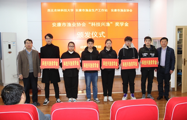 ba493e501b5e449bbe9d915e34b06964.jpg 55.jpg