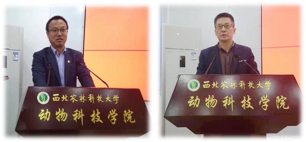 c80c5e5d95fb47ebbcb6dd90047eb61b.png c80c5e5d95fb47ebbcb6dd90047eb61b.png