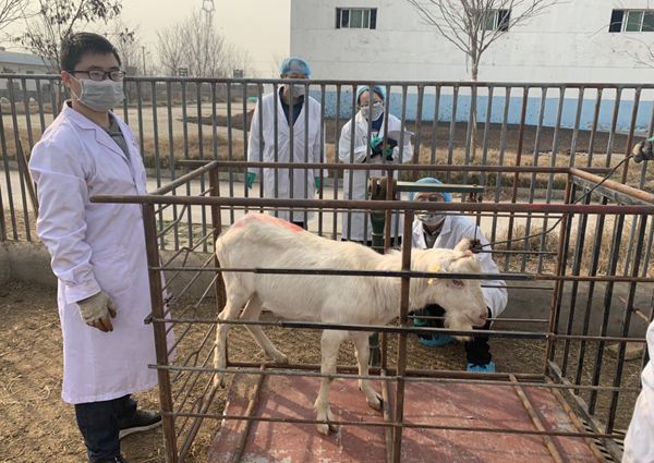 e99c656f482b4120abf38998aca68e4d.jpg 炸金花在线玩
研究生称重后备种公羊_副本.jpg