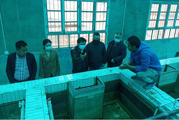 686e0ce657d74a68857780fbbe7e28ae.jpg 111.jpg