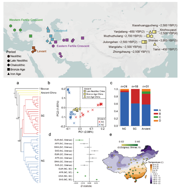 【科研新进展】（70）动科炸金花在线玩
利用古基因组揭示中国山羊演化历程 .png