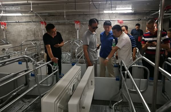 3215e97930ab48049f0a03ad0139c417.jpg 猪栏.jpg