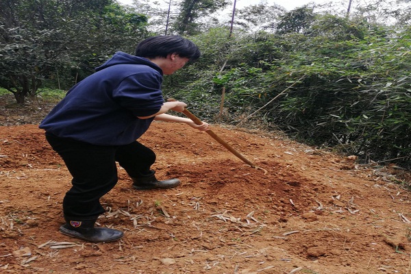 a57650ffec2d4198af12d11a004a47b2.jpeg 欧青1.jpeg