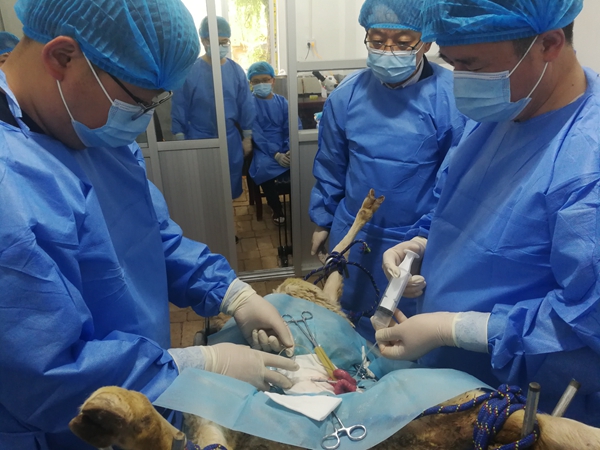 d68bc7bc56054121b98f03462df2b655.jpg 胚胎移植.jpg