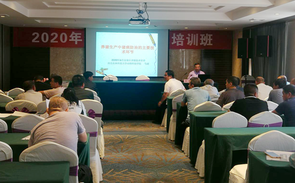 0a487cec14a14169bb9f23dbeb201b77.png 图片3_副本.png