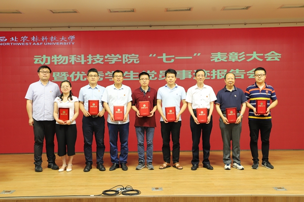 cf4ec74b24c246e789a7fa06e11d7801.jpg 凌飞.jpg