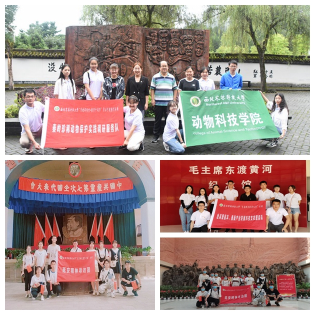 9fdd6562660f4f2e9794fe5104305e4f.jpg 9a02e223d2d5421ab1442f409cd31447_副本.jpg