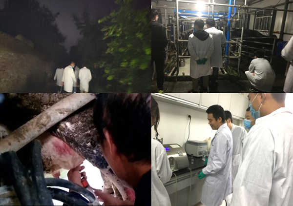 14b6e850709643c8a03b2b42770ea89b.png 6.png