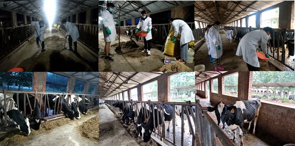 60bc8dc0d0a64c90a647f09fb8c687bd.png 8 .png