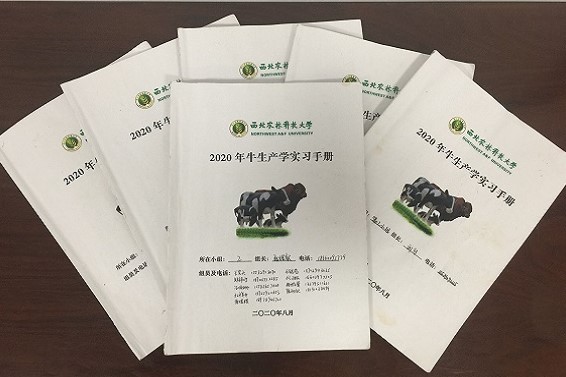 61e31c1644d74a89b29c8c1322084fe3.jpg 1.jpg