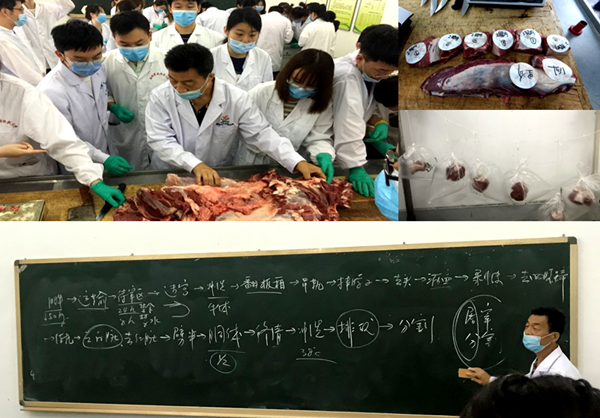 6fc08f6b82f64066a1c2ad0729a20c09.png 3 .png