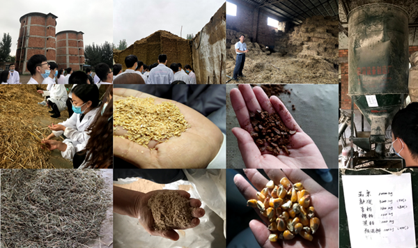 b4786509bf9840179854fd45cb4c397d.png 7.png