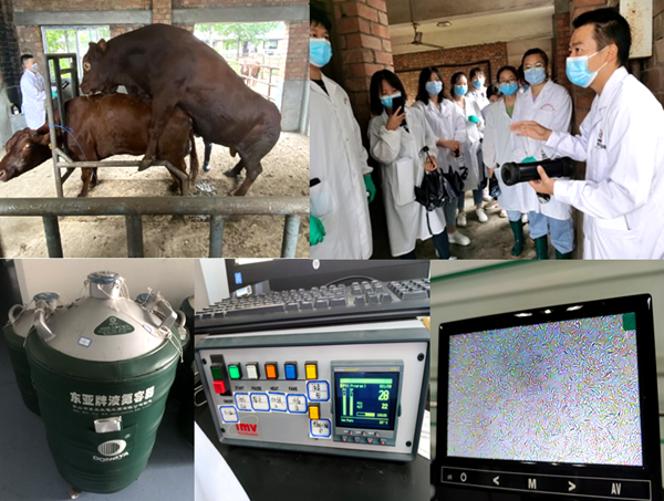 b522953084454d918b6e2d8a056554ec.png 4.png