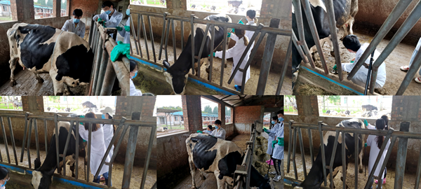 d36da0d7dff24288840b1116ab985a13.png 5.png