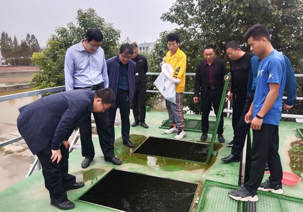 50e12ae04b554932b776848ee7fae113.jpg 参观集装箱养殖_副本.jpg