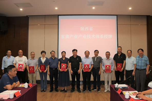 683d4a6790194cd9a7ea2668e4fdf52e.png image.png