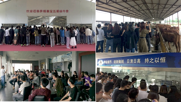 69a6294769654ccc932a14e1f6d7def5.jpg 肉牛奶牛场参观学习.jpg