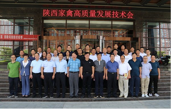 71f183b55cc1404493bb47c0450b15e6.png image.png