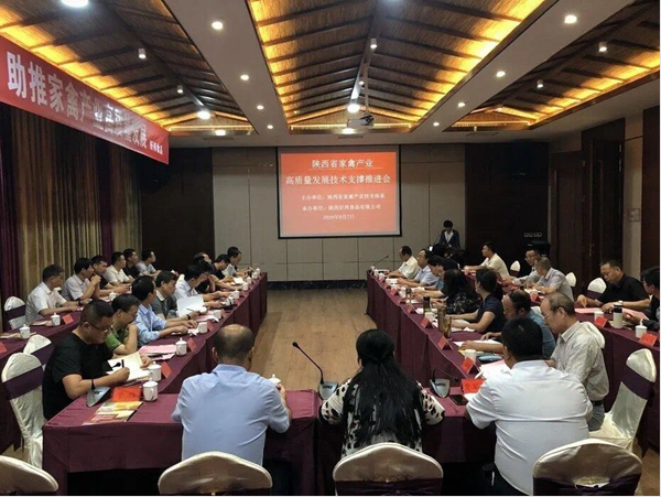 79a51a9814a14729b738f06a245b94de.png image.png