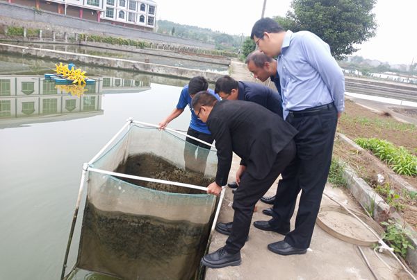 f989d036049248119fcff8342769e17f.jpg 参观南美白对虾养殖池_副本.jpg