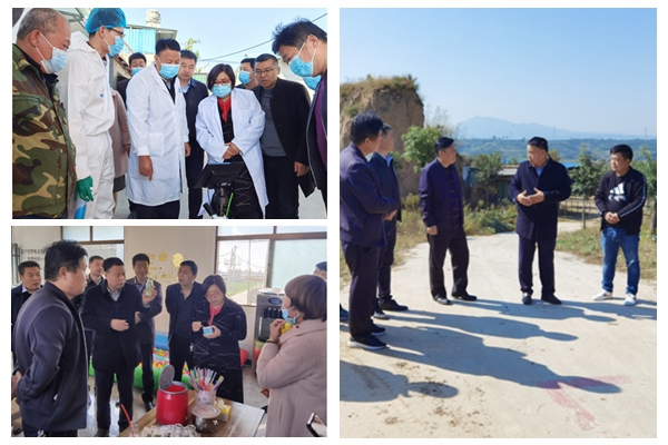 d9bf49e437444295af595cc5217d0fb2.jpg NeoImage_副本.jpg