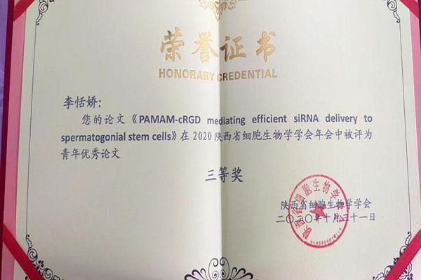 339012780df84acd87e734349266f420.png image.png