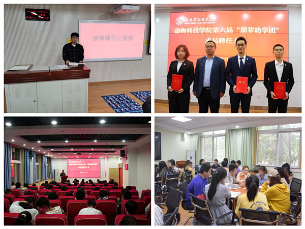 74d3e54b9d914eb1b3702c32bbee8f90.jpg 4.jpg