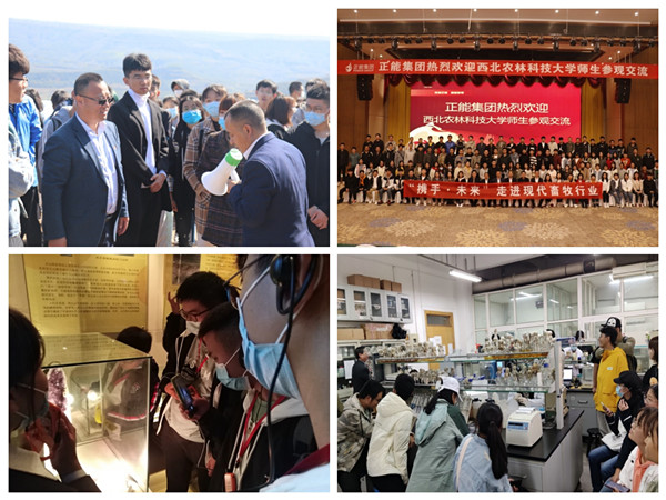 aa6fce09d5b347dbb1c7226cf0b06882.jpg 1.jpg