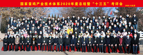 38f998a24c56450fbb13fced9cc842a9.jpg 4444444_副本.jpg