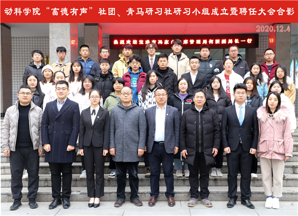 392dfc3e3c934ad39306b0d8088b3038.png IMG_1330.png