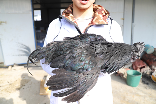 4c65a478eabe4c678f5921fd17a5266c.png 图片1.png