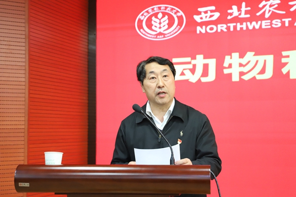 c96aeb601c2740658862c56ba7260bc8.jpg IMG_5343.JPG