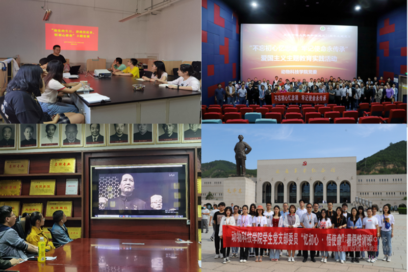 3e5289d241374e578275309f38191c04.png 图片2.png