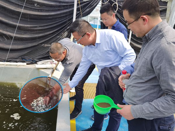 4229237d730d4f399a489b489ace753e.jpg 指导养殖1.jpg