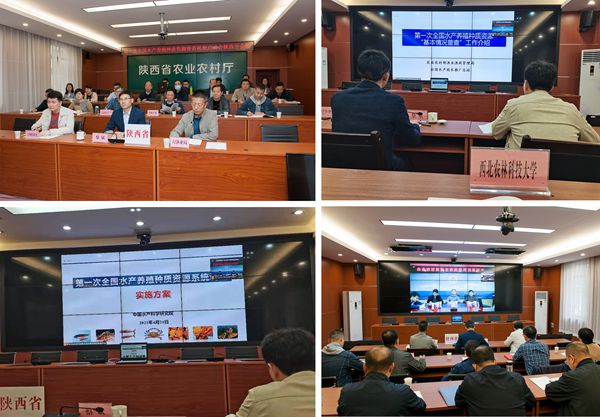 86b5090e0a7743b184f289e75c2b103a.jpg 1第一次全国视频会议_副本.jpg