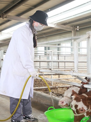 12fea0a72f1b456c92997dcc29848299.jpg 王丽云牛场工作图片.jpg