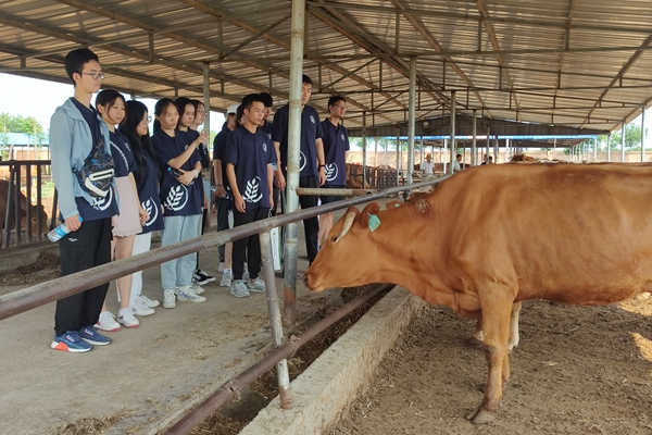 12761c710d3c4f5cae5bd53dd378052d.jpg IMG_20210707_092634.jpg