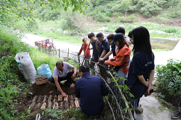 36b3dde2a8fa4a3ea3eaa9297fe76a8a.jpg 图片二 队员亲自尝试天麻种植过程.JPG