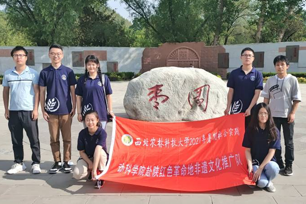 7c7509dd7fa54d5a90a623a45e4a1e4d.png 图片13.png